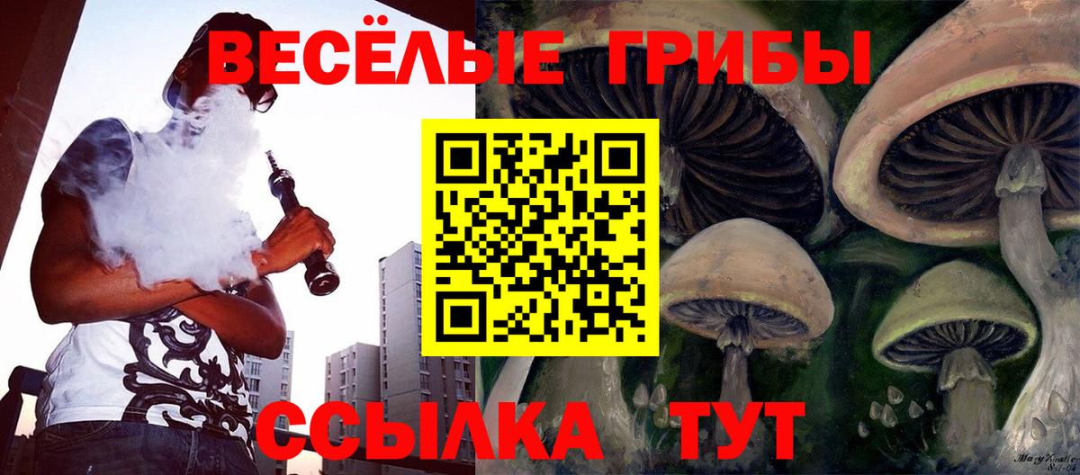 Ялта  Галлюциногенные грибы Cubensis  Вход с VPN 